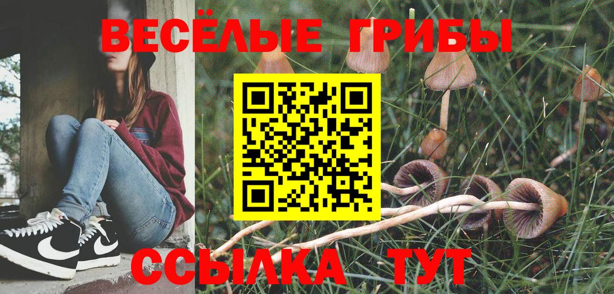 Псилоцибиновые грибы MAGIC MUSHROOMS Аксай