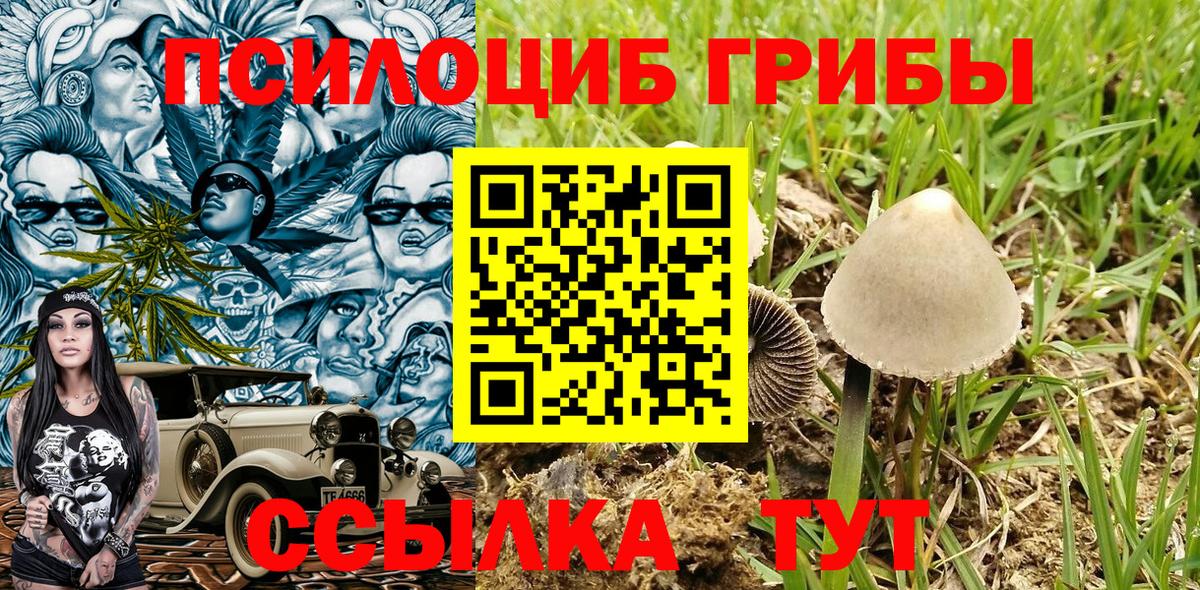 Галлюциногенные грибы Cubensis  Псилоцибиновые грибы MAGIC MUSHROOMS  Вход с VPN  Аксай 