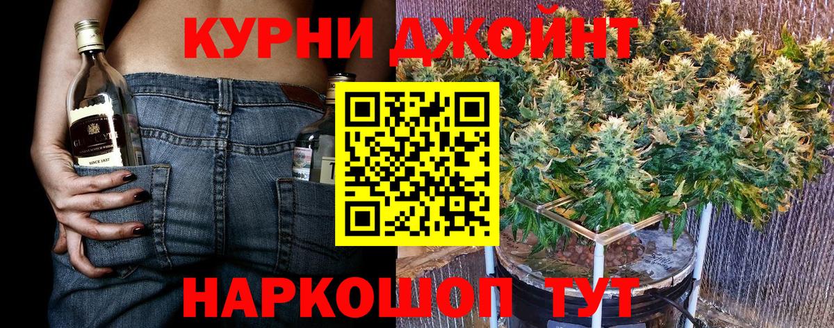 Конопля сатива Аксай